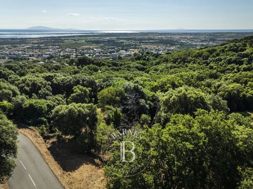 Land in Borgo, Upper Corsica