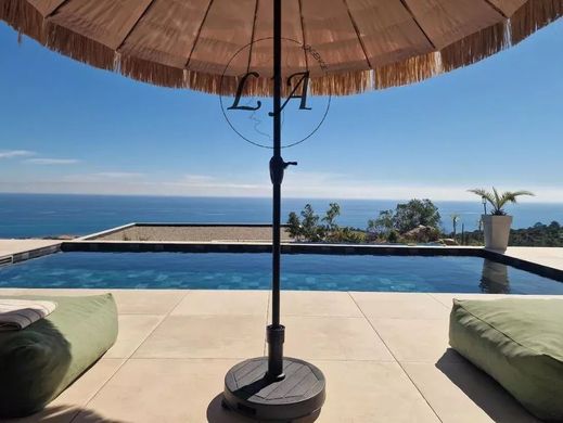 Apartment in Sari-Solenzara, South Corsica