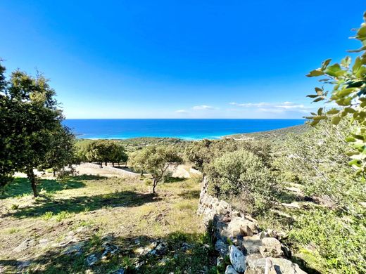 ‏קרקע ב  Corbara, Upper Corsica