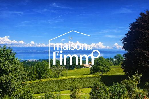 Luxury home in Marin, Haute-Savoie