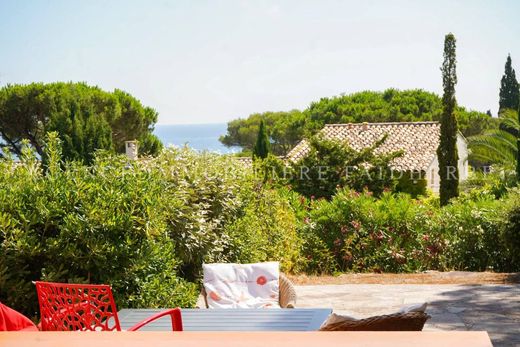 호화 저택 / 생 트로 페, Var