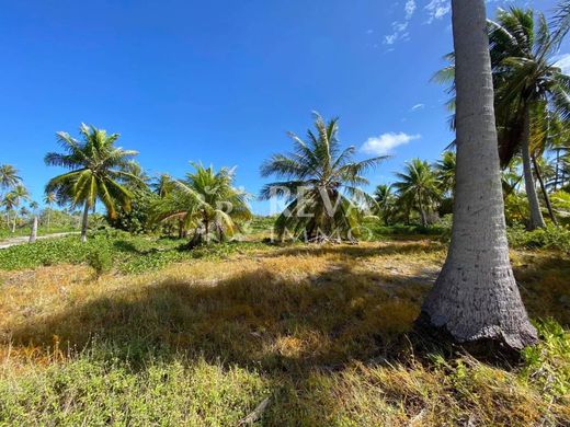 地皮  Fakatopatere, Îles Tuamotu-Gambier