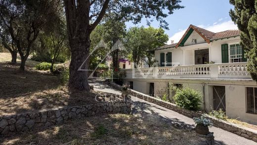 Luxus-Haus in Cannes, Alpes-Maritimes