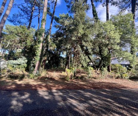 Αγροτεμάχιο σε Soorts, Landes