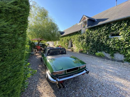 Casa de lujo en La Ferté-Saint-Cyr, Loir y Cher