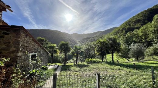 Demeure ou Maison de Campagne à Arles-sur-Tech, Pyrénées-Orientales