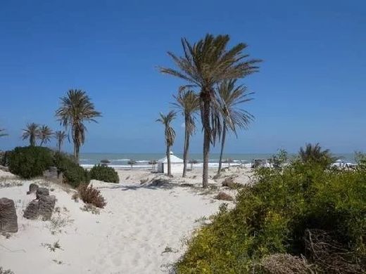 宾馆/酒店  Djerba, Mu‘tamadīyat Ḩawmat as Sūq