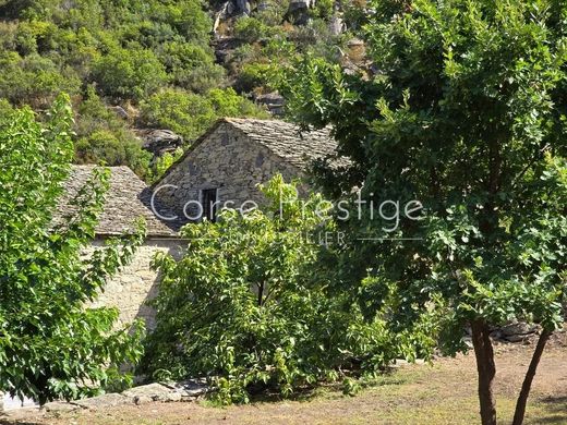 ﻣﻨﺰﻝ ﺭﻳﻔﻲ/ ﺑﻴﺖ ﻤﺰﺭﻋﺔ ﻓﻲ Saint-Florent, Upper Corsica