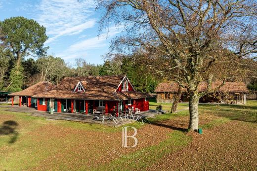 Linxe, Landesの高級住宅