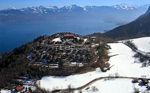 Dağ evi Thollon-les-Mémises, Haute-Savoie