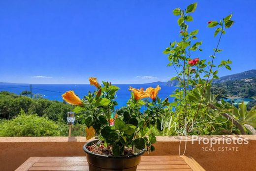 Daire Rayol-Canadel-sur-Mer, Var