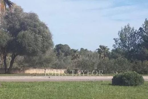 토지 / Santa Ponsa, Illes Balears