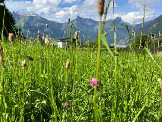 Terreno - Saint-Gervais-les-Bains, Alta Sabóia