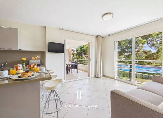 Apartment in Porto-Vecchio, South Corsica