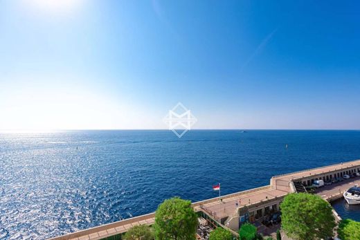 Apartment / Etagenwohnung in Monaco