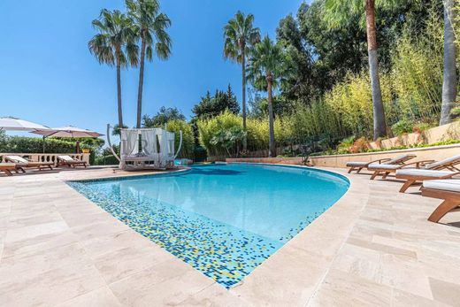 Villa a Cannes, Alpi Marittime