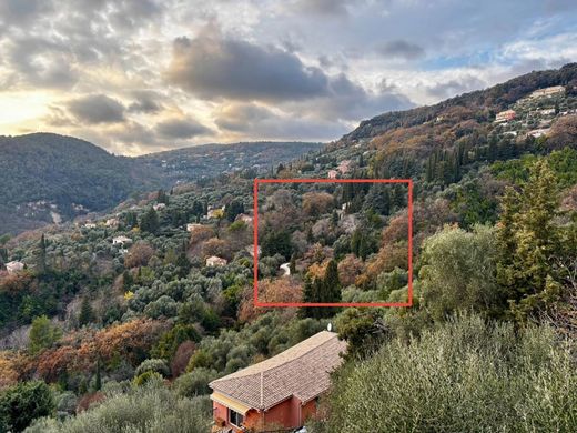 Arsa Grasse, Alpes-Maritimes