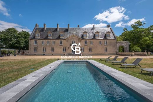 قلعة ﻓﻲ Loches, Indre-et-Loire