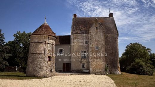 Palast in Neuillay-les-Bois, Indre