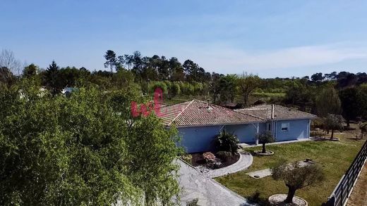호화 저택 / Dax, Landes