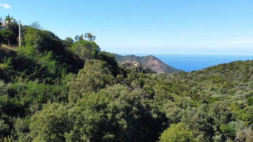 Terrain à Villanova, Corse-du-Sud