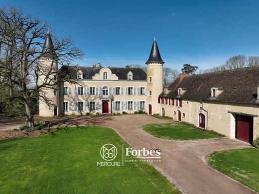 Castle in La Roche-Posay, Vienne