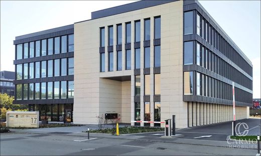 Office in Leudelange, Canton d'Esch-sur-Alzette