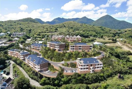 ‏דירה ב  Saint Martin