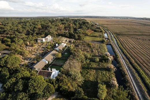 Casa di lusso a Aguada de Cima, Águeda
