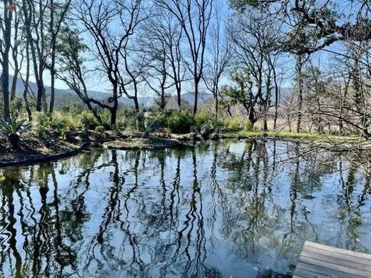 Ρουστίκ ή Αγροικίες σε Grimaud, Var
