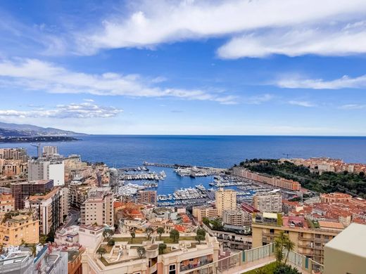 ‏דירת פנטהאוז ב  Monaco