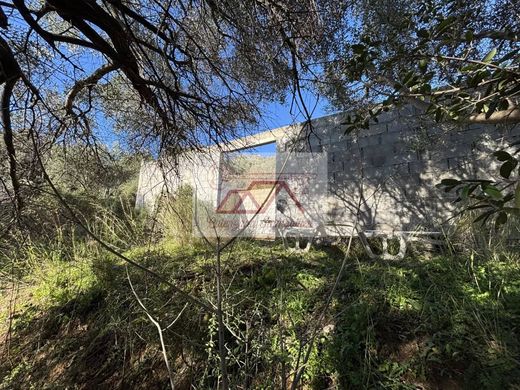 Terrain à Calenzana, Haute-Corse