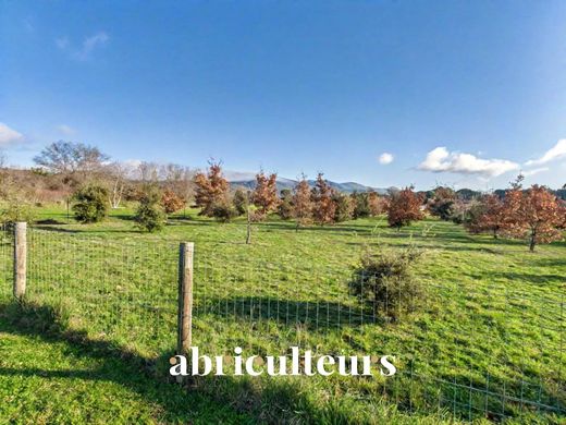 Casa di lusso a Puyvert, Vaucluse