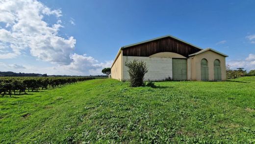 Boerderij in Langon, Gironde