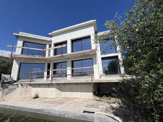 호화 저택 / 니스, Alpes-Maritimes