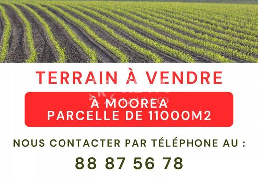 Arsa Moorea, Moorea-Maiao