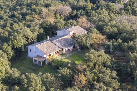 Villa in Mandelieu-la-Napoule, Alpes-Maritimes