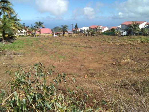 토지 / Petite-Île, Réunion