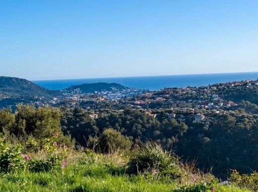 Land in Falicon, Alpes-Maritimes