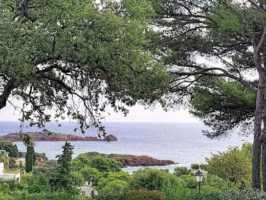 Luxus-Haus in Saint-Raphaël, Var