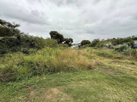 Saint-Pierre, Réunionの土地