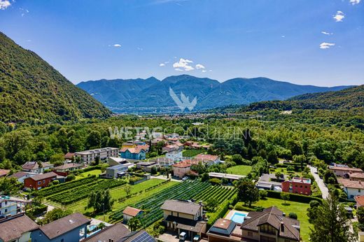 Teren w Tegna, Locarno District