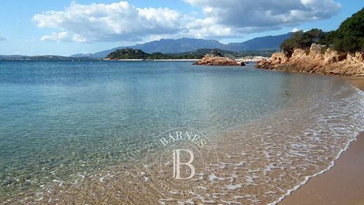 ‏דירה ב  Porto-Vecchio, South Corsica