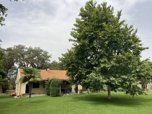 Villa in Borgo, Upper Corsica