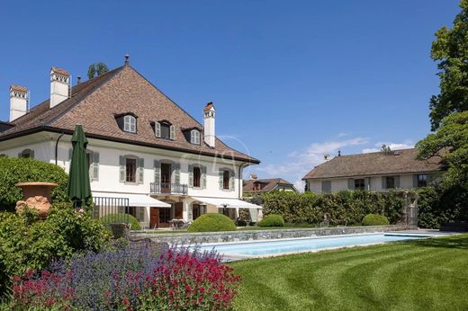 Kale Meinier, Geneva