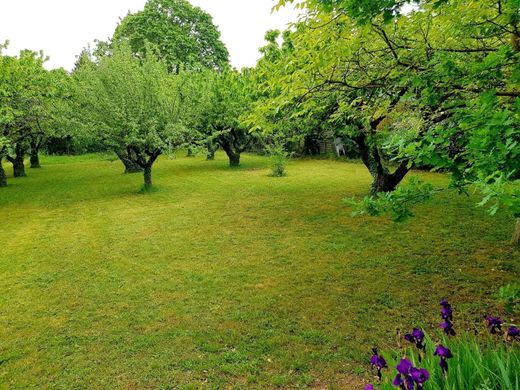 토지 / Sainte-Foy-lès-Lyon, Rhône
