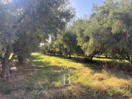 Grond in Marrakesh, Marrakech