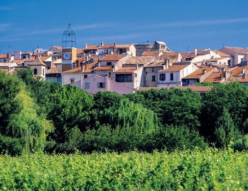 Casa de lujo en Puget-sur-Argens, Var