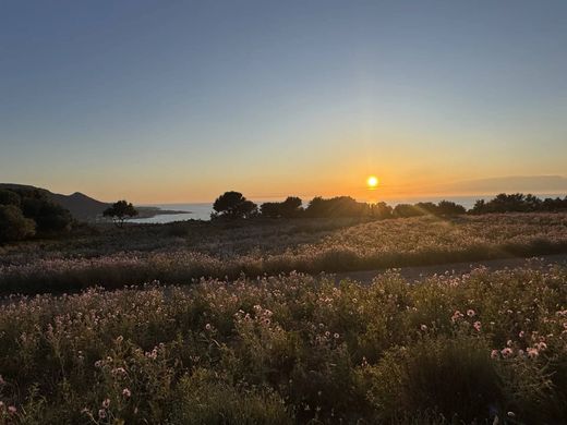 Terreno - Corbara, Alta Córsega