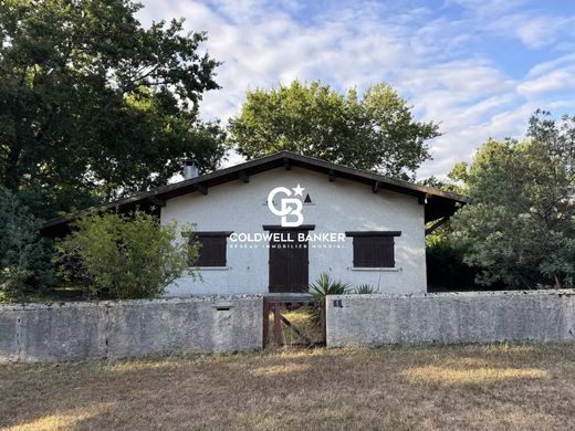 Casa di lusso a Lège-Cap-Ferret, Gironda